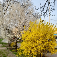 Wiosna ,bajeczne widoki