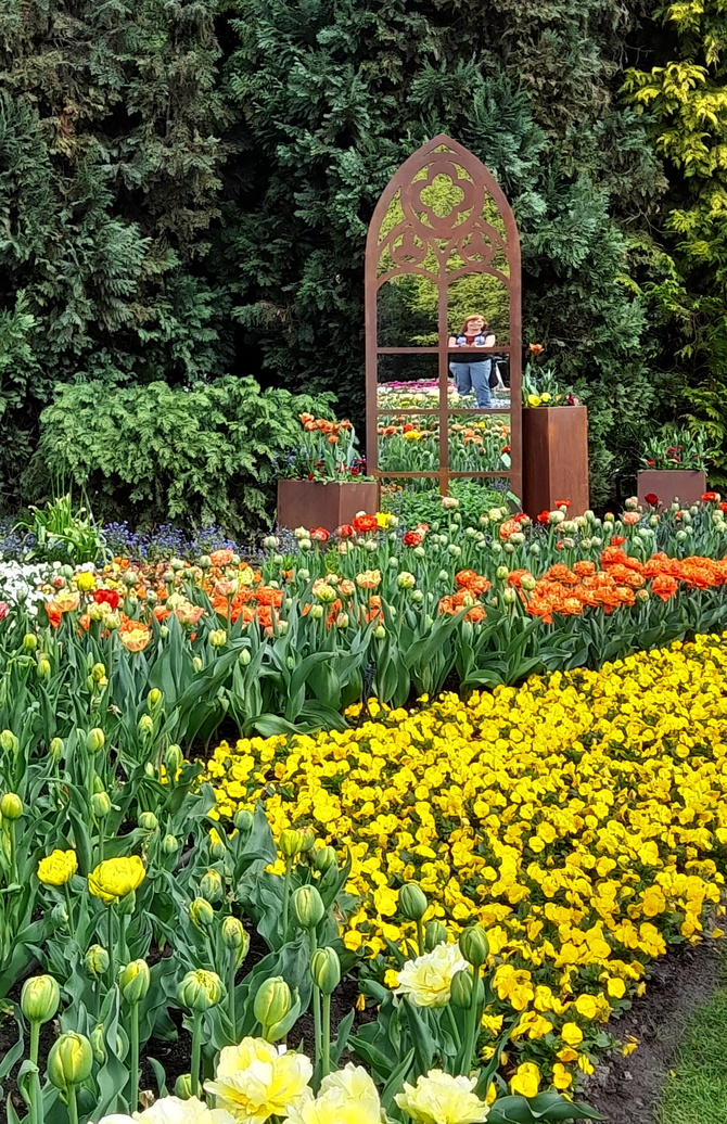 Tulipany w Ogrodzie Botanicznym